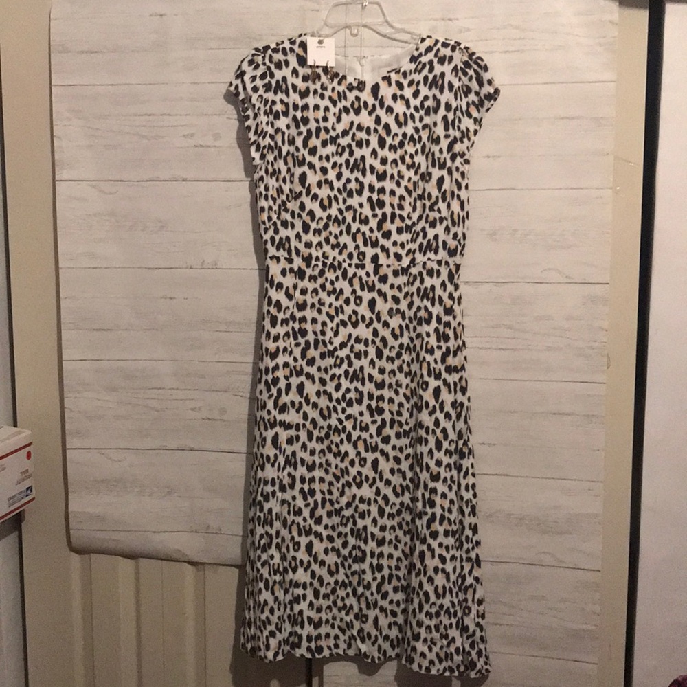 Loft dress & accessories
